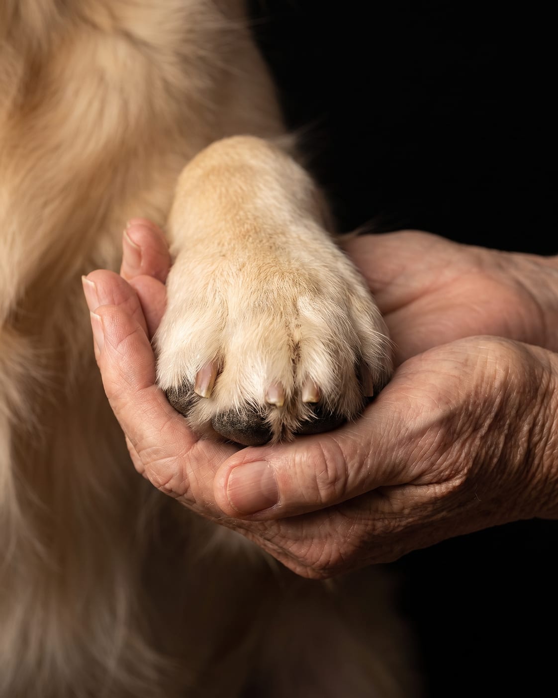 No faces. Just their paw in your hands.