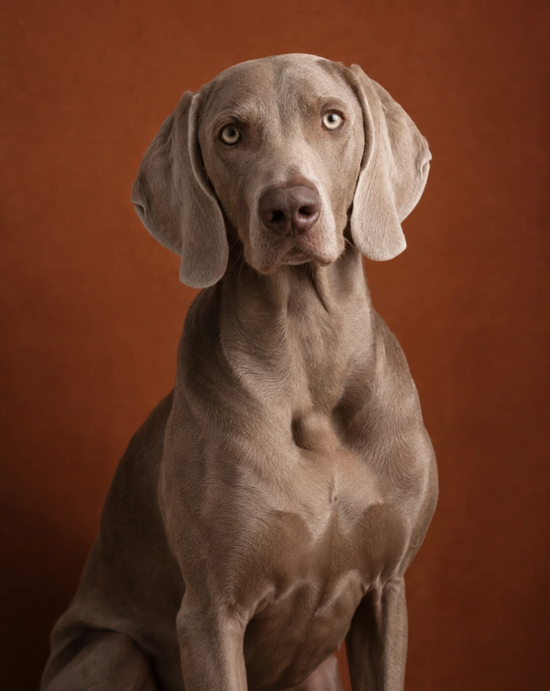 Warm rust tones and soft side light.